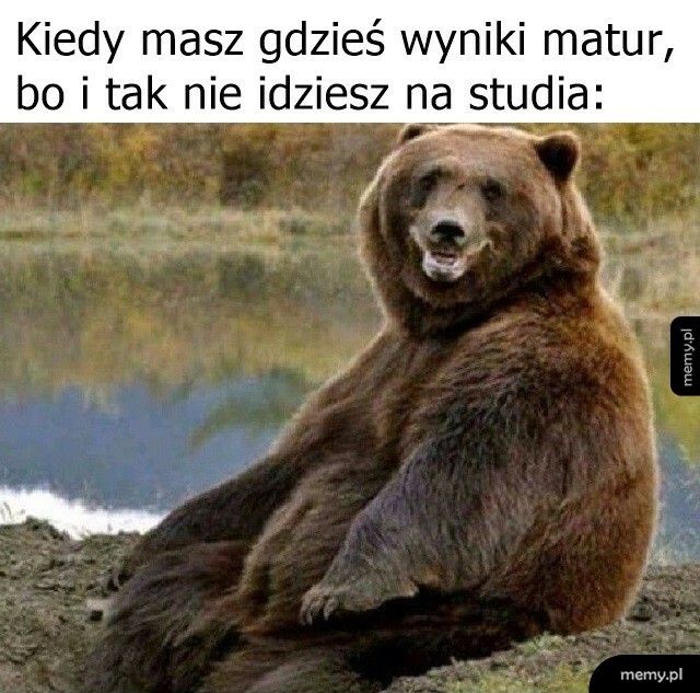 Wyniki matur