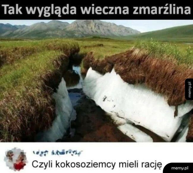 Kokosoziemcy