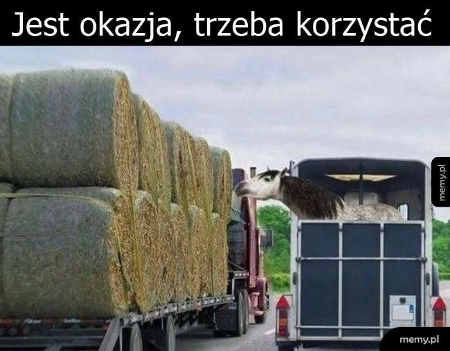 Jest okazja, trzeba korzystać