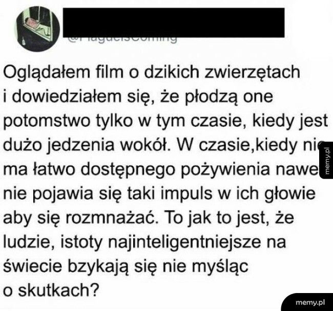 Film przyrodniczy