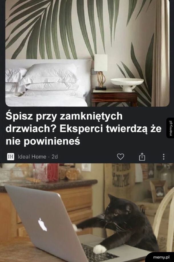 Eksperci