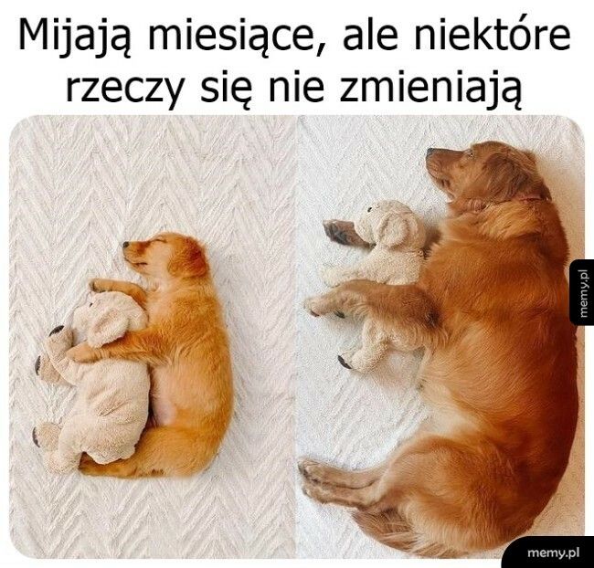 Niektóre rzeczy się nie zmieniają