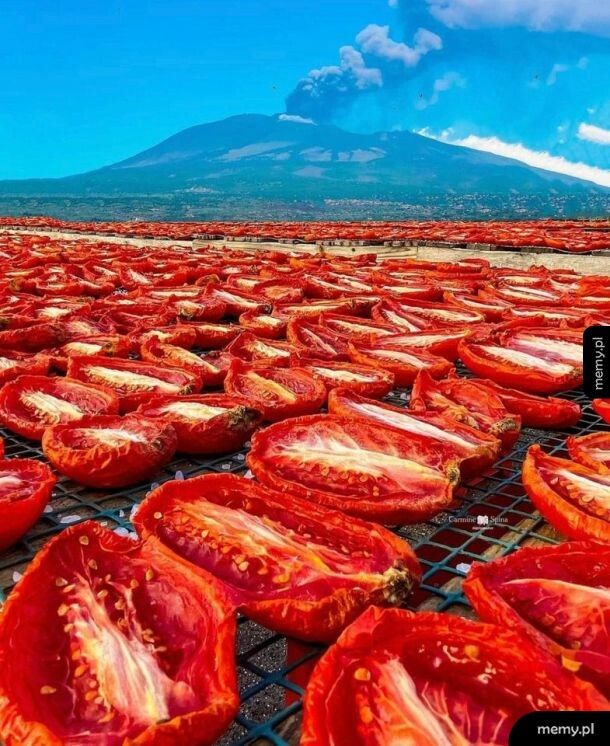 Suszenie pomidorów na Sycylii