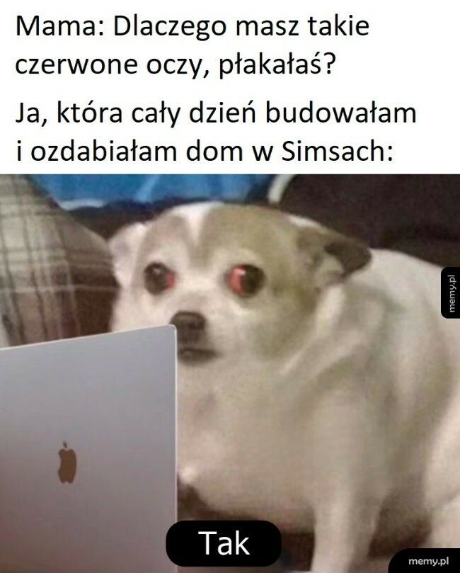 Głupio się przyznać