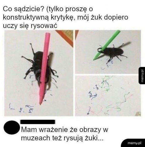 Rysujący żuk