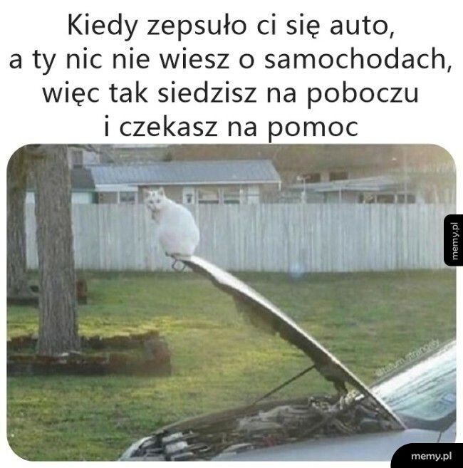 Tylko tyle pozostało