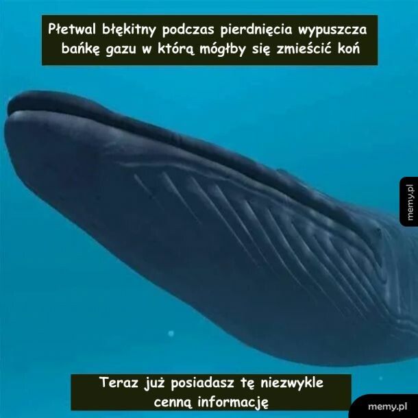 Z biologią na co dzień