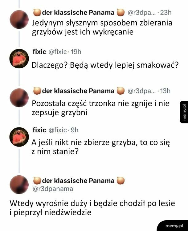 Zbieranie grzybów