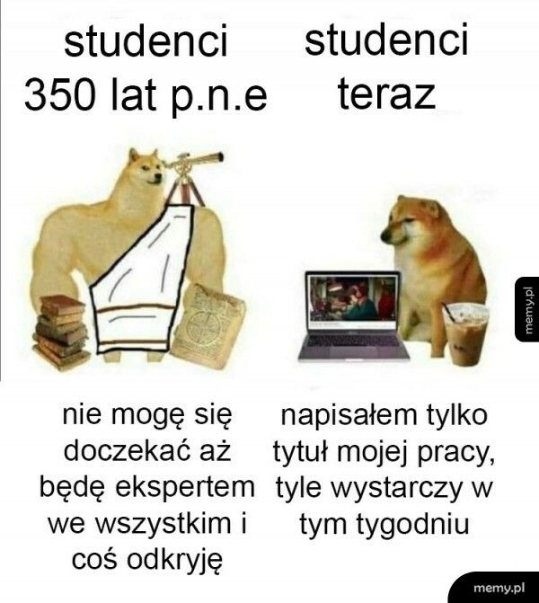 Studenci