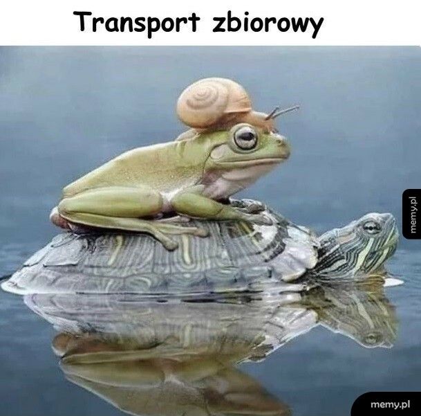 Transport zbiorowy