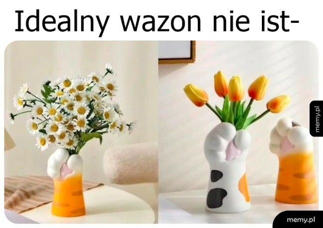 Wazon dla kociarzy