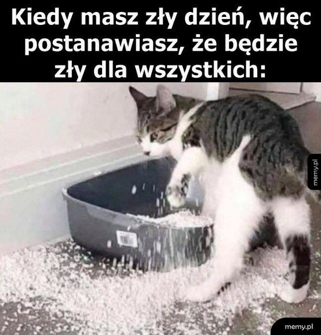 Jak wszyscy, to wszyscy