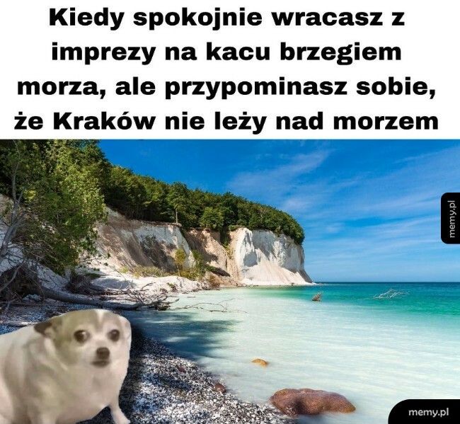 Powrót z imprezy