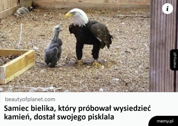 Zasłużył