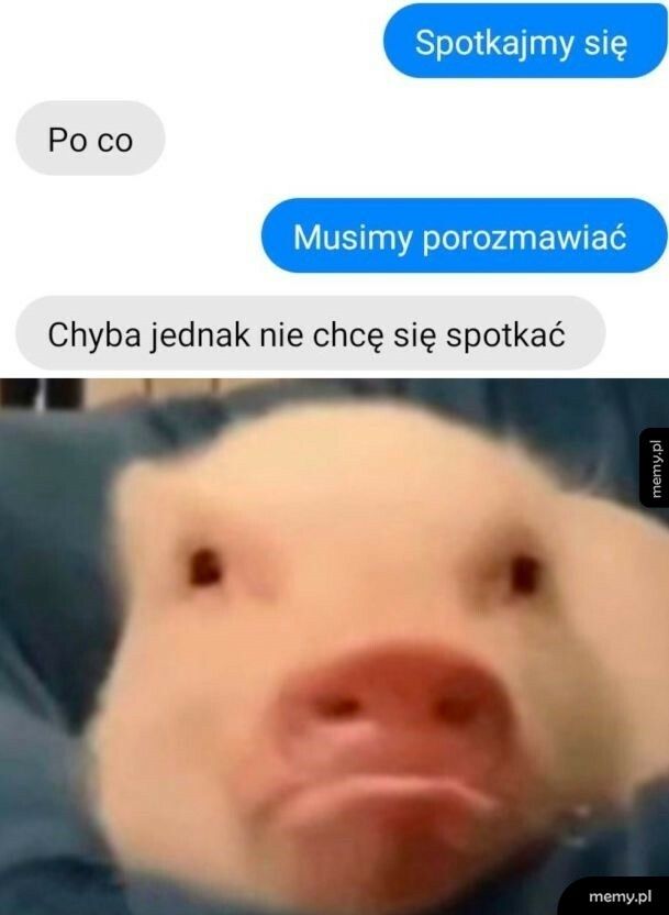 Spotkanie