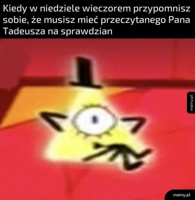 No świetnie