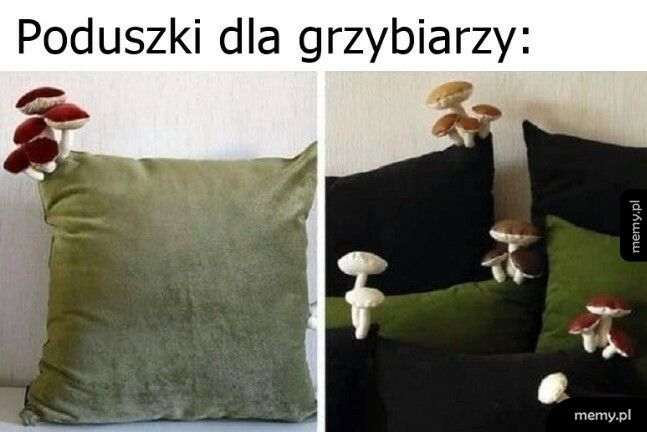 Poduszki dla grzybiarzy