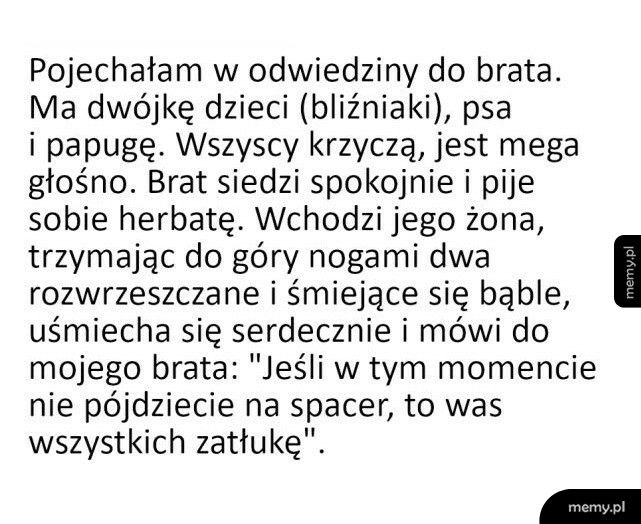 Odwiedziny u brata