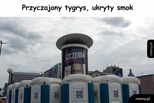 Obserwuje z ukrycia