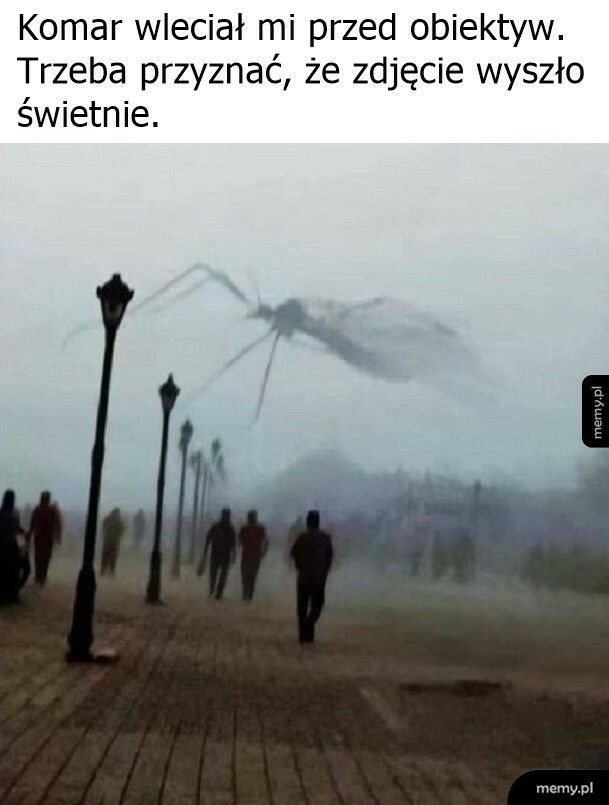 Gigantyczny komar