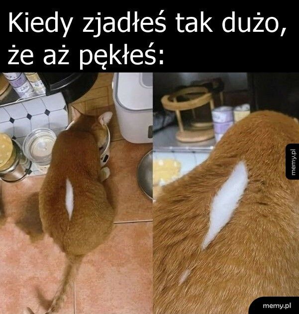 Za dużo jedzenia