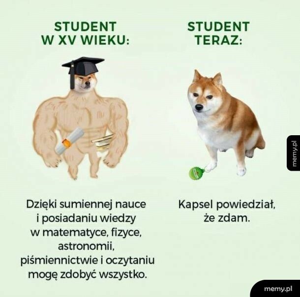 Studenci