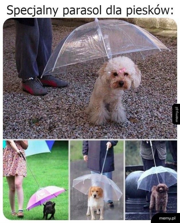 Specjalny parasol