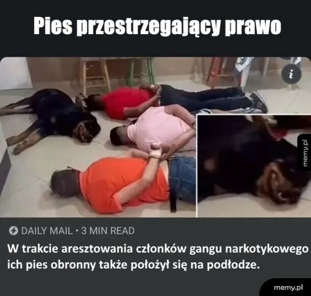 Jak wszyscy to wszyscy