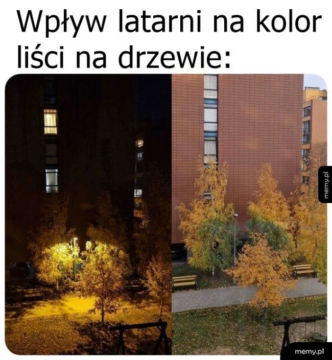 Wpływ latarni