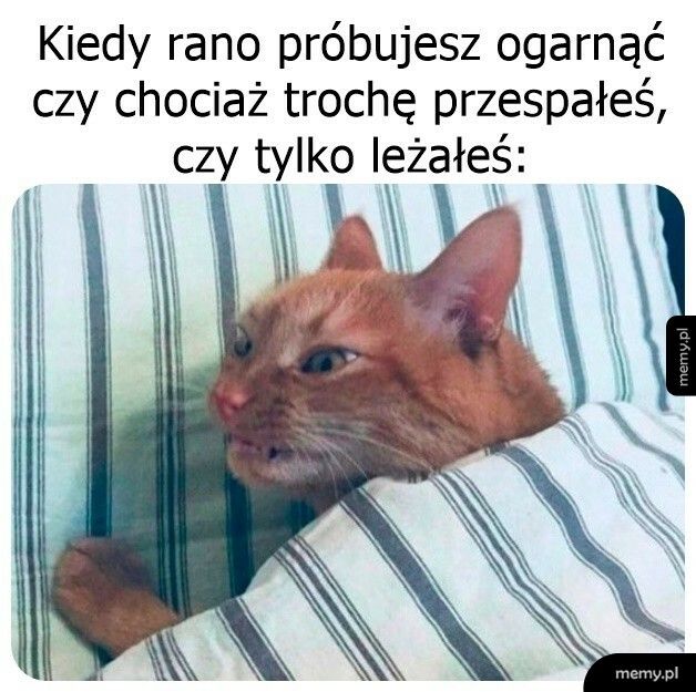 Ciężka noc