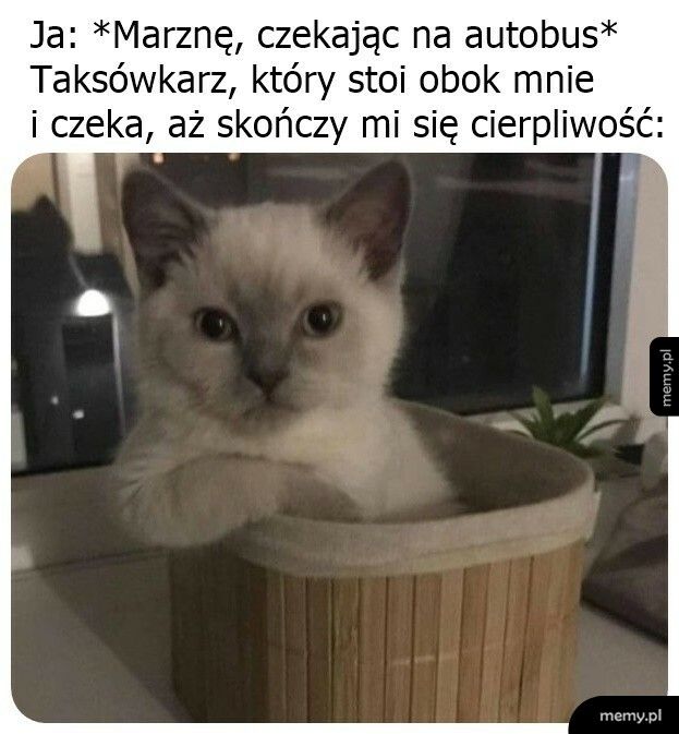 Zaraz wymięknie