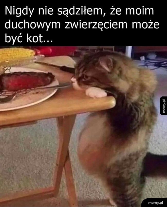 Duchowe zwierzę