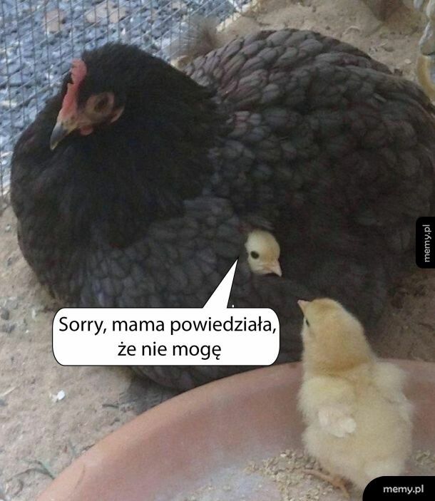 Nie mogę