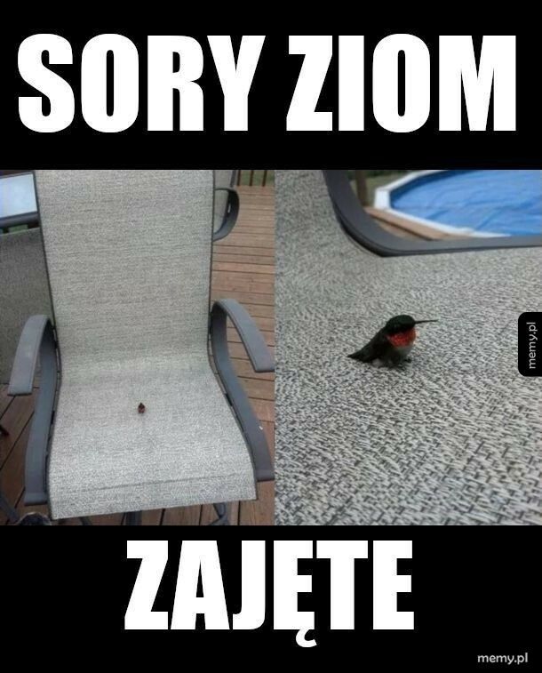 Zajęte