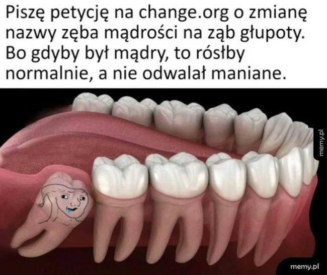 Ząb mądrości