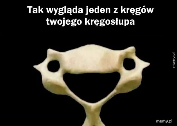 Wesoły kręgosłup