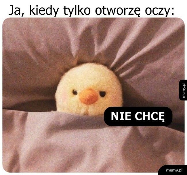 Początek dnia