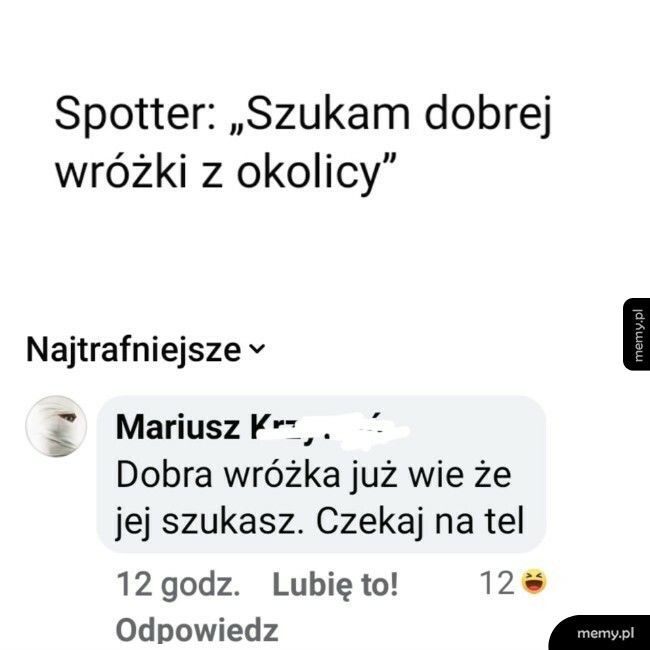 Dobra wróżka z okolicy