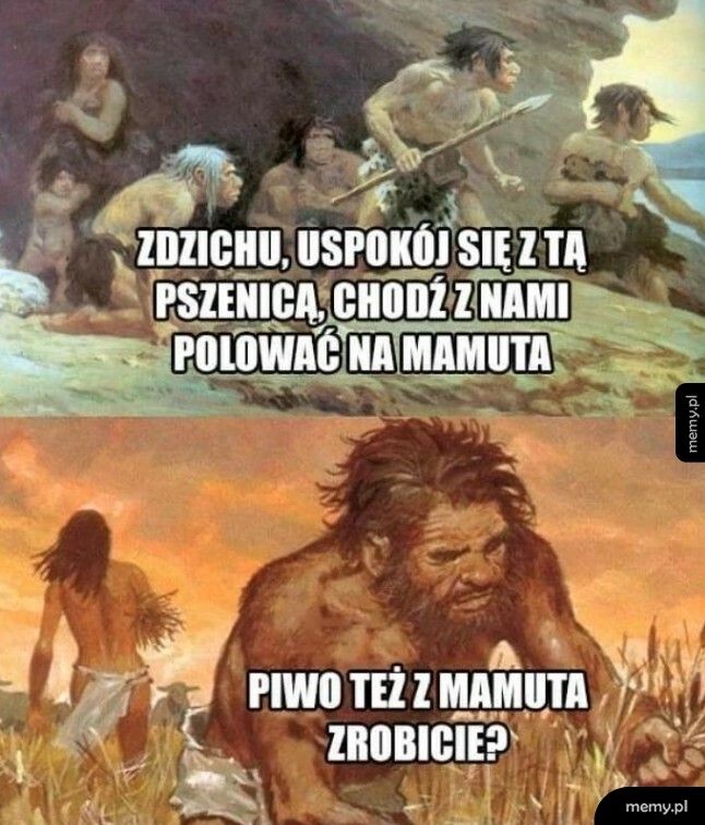 Pszenica też jest ważna