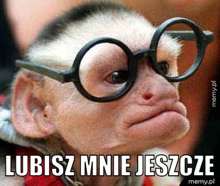  lubisz mnie jeszcze
