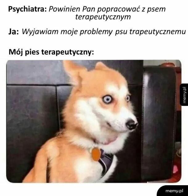 Pies terapeutyczny