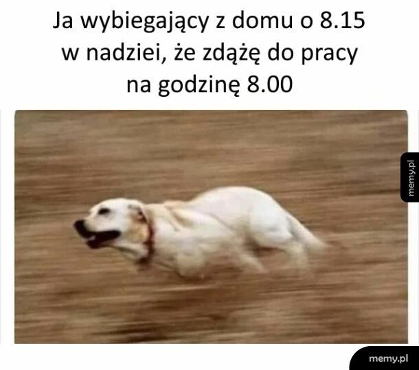 Żeby się tylko jutro nie spóźnić