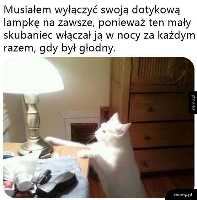 Dotykowa lampka