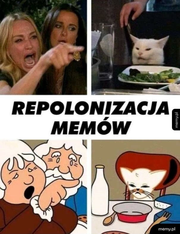 Repolonizacja memów