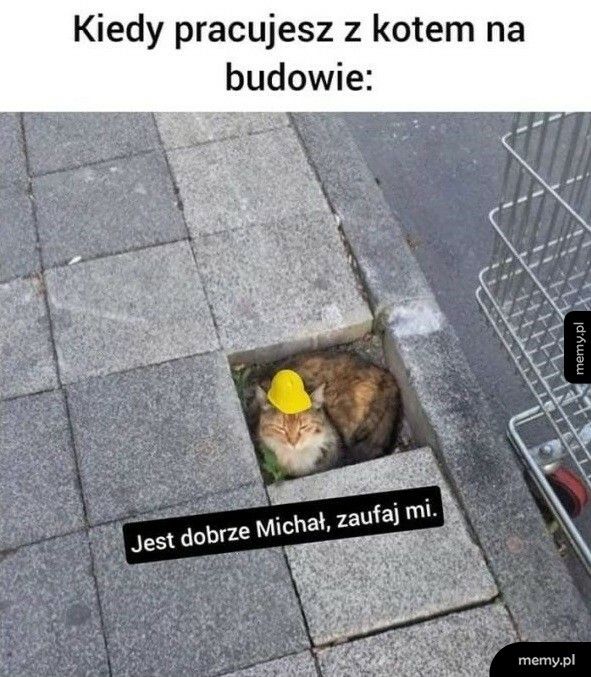 Tak ma być