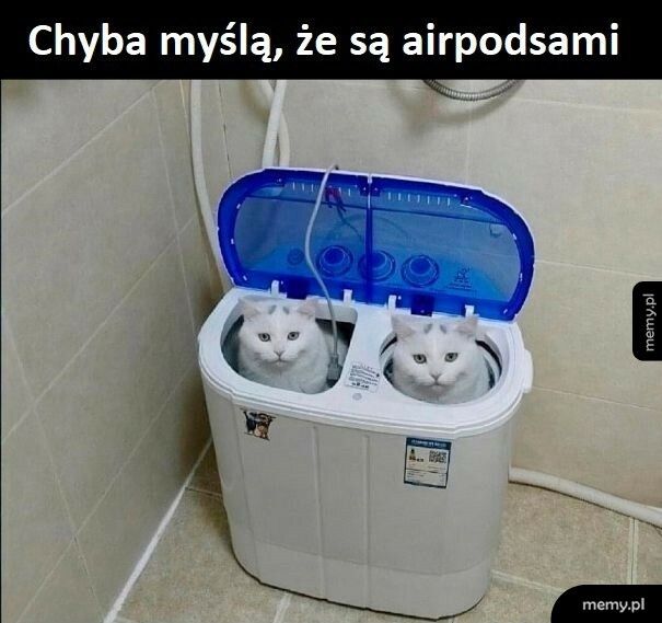 Airpodsy