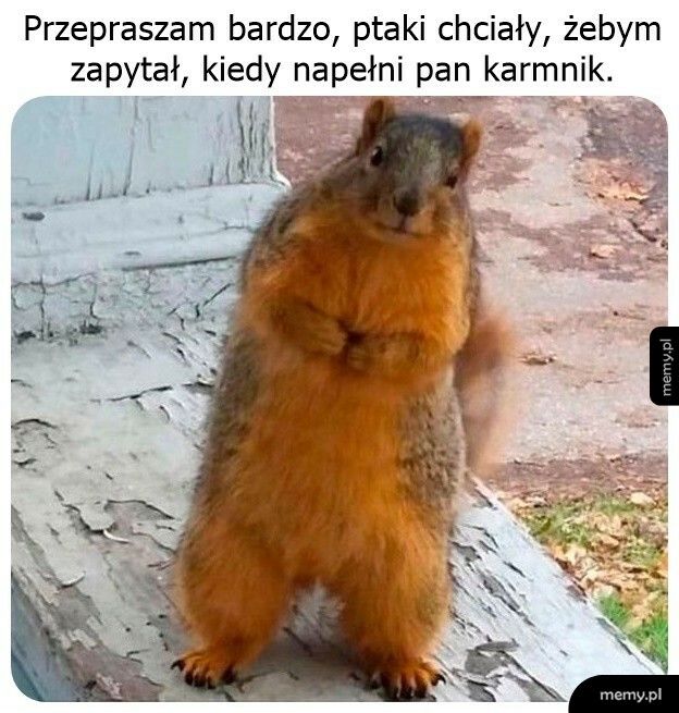 Ja z małym pytankiem