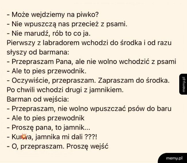 Jak wejść z psem do baru