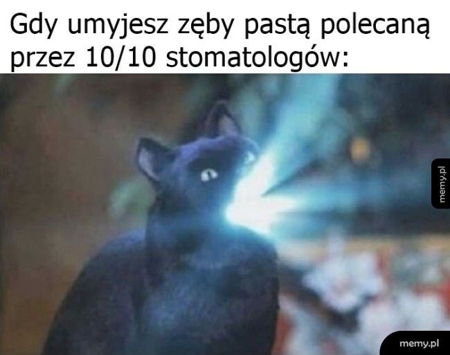 Najlepsza pasta na rynku