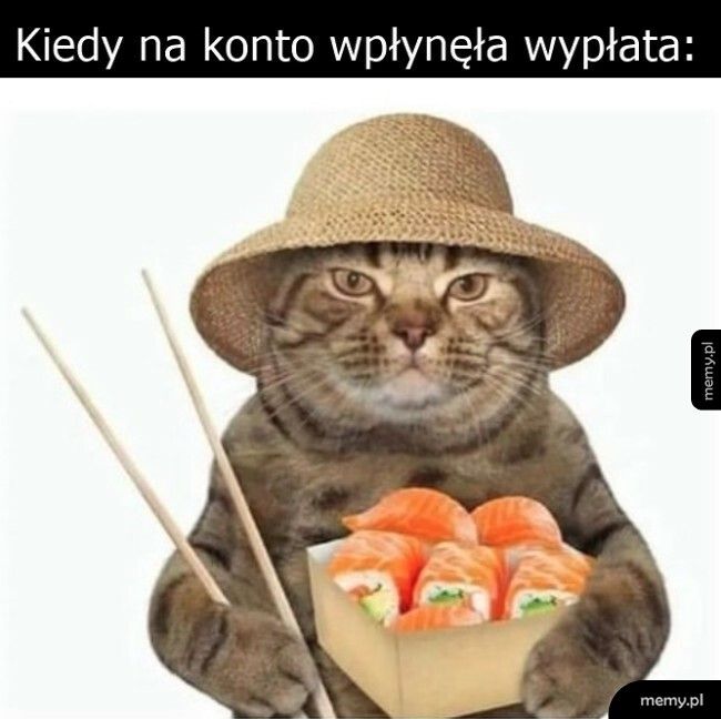 Jest wypłata, jest sushi